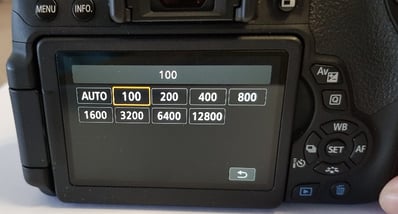 Canon EOS Digital SLR Camera ISO set to 100