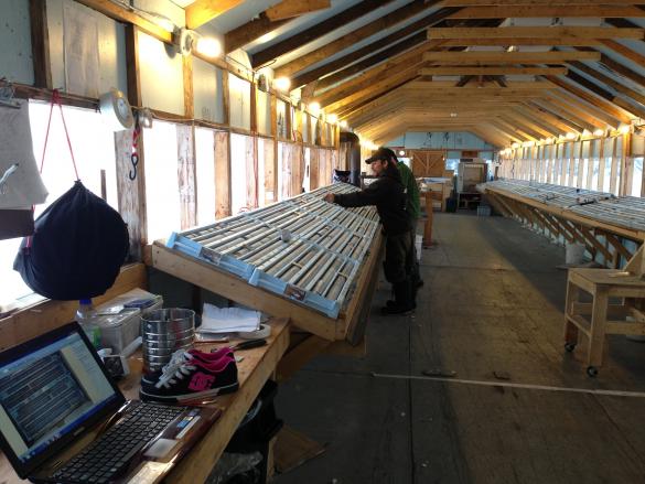 Geos checking out core samples in plastic core trays in a core shed